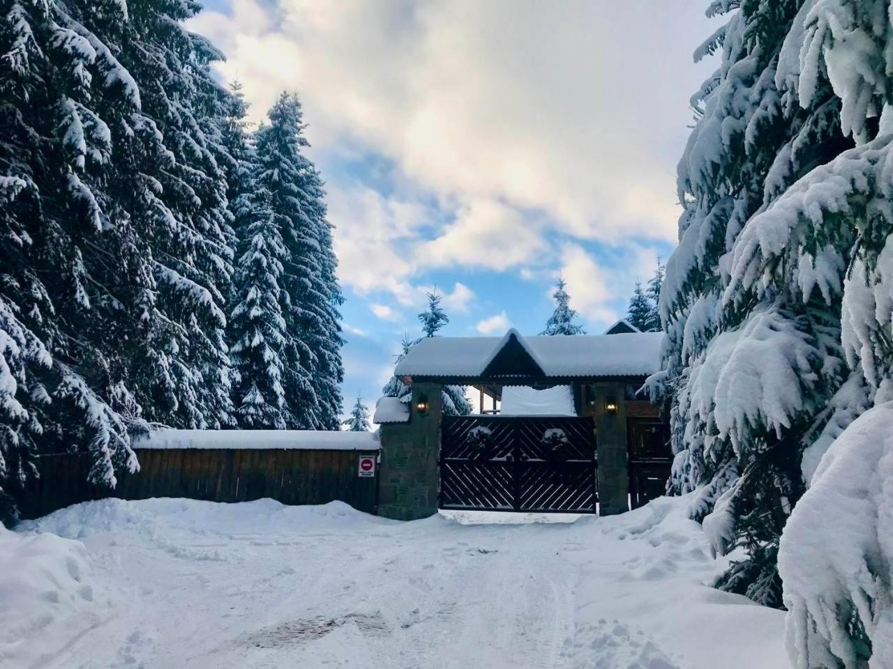 Apartment Lavanda окремий з каміном Bukovel