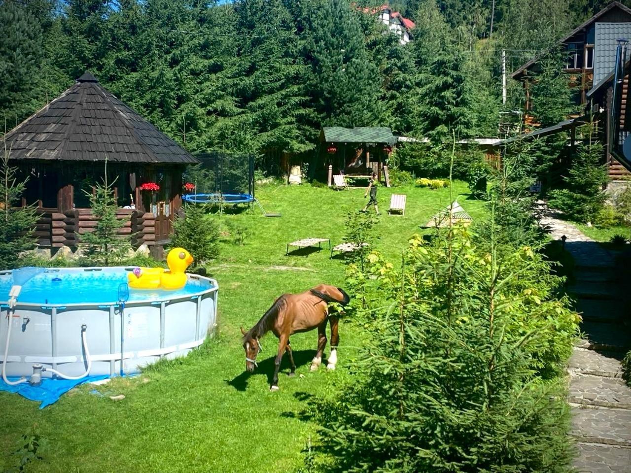 Lavanda окремий з каміном Bukovel