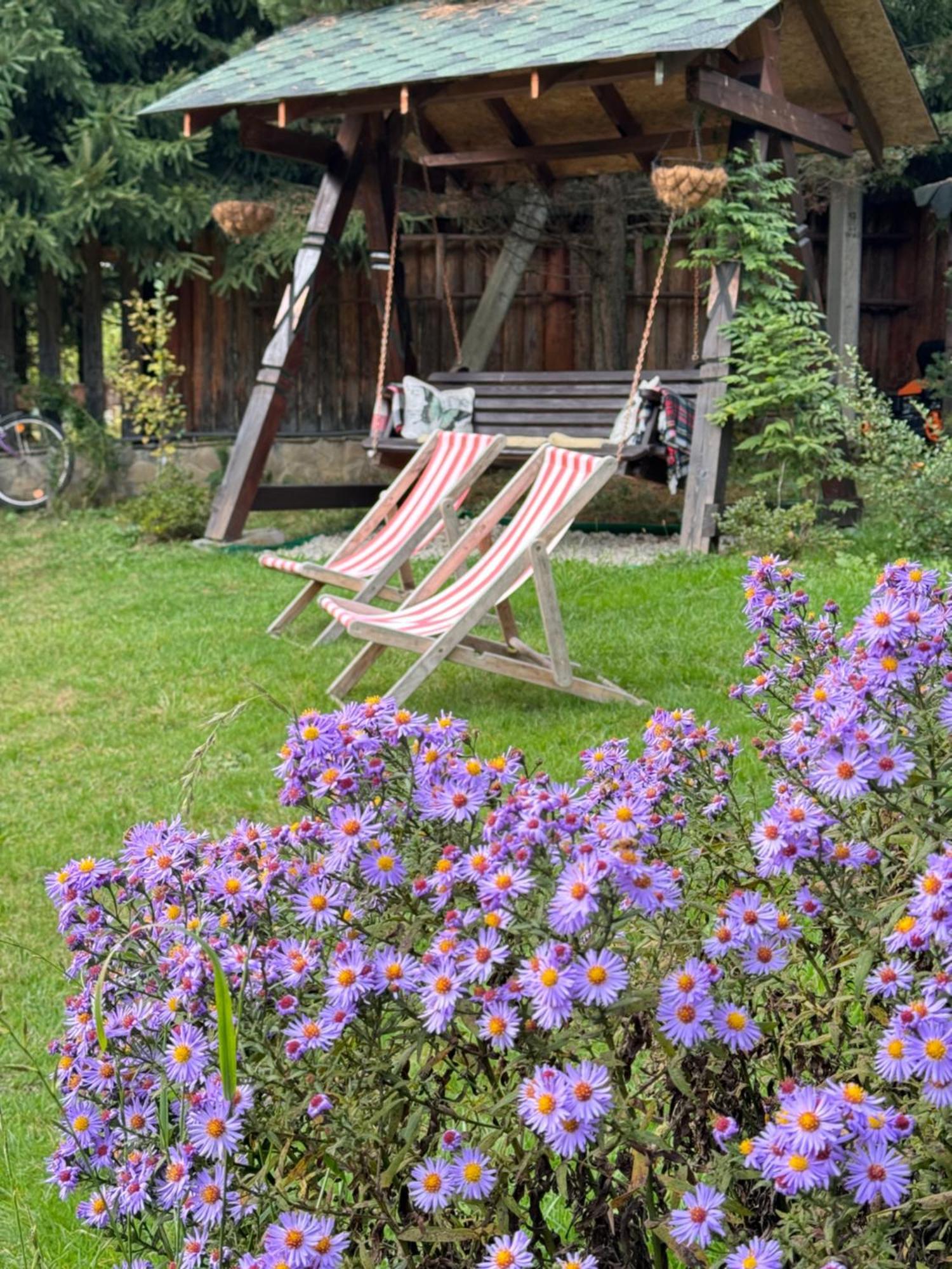 Lavanda окремий з каміном